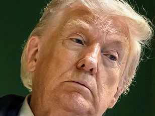 Trump's Doubts on NATO Commitment Spark Debate at WEF