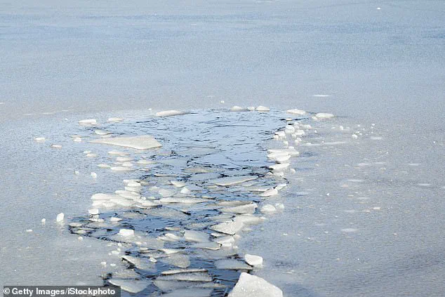 Tragic UTV Crash on Frozen Pond in Westphalia Township Claims Lives of 5-Year-Old Girl and Grandfather