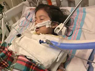 Urgent Blood Shortage: American Red Cross Warns of 35% Decline Amid Winter Storm Crisis