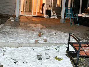 Idaho State Police Face Backlash Over Release of Graphic Crime Scene Photos from University of Idaho Murders