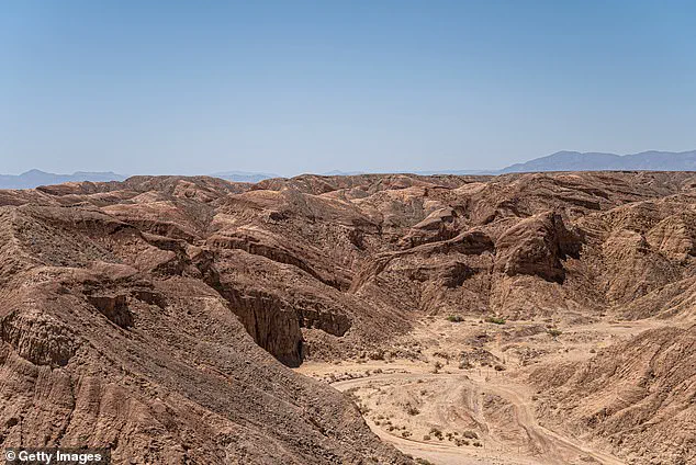 Behind Closed Doors: The Bartolone Family's Desperate Fight for Kalene's Recovery