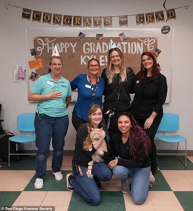 From Survival to Celebration: San Diego Humane Society Hosts Graduation for Coyote-Attack Survivor Kyle, Highlighting Quarantine Regulations and Animal Welfare Balance