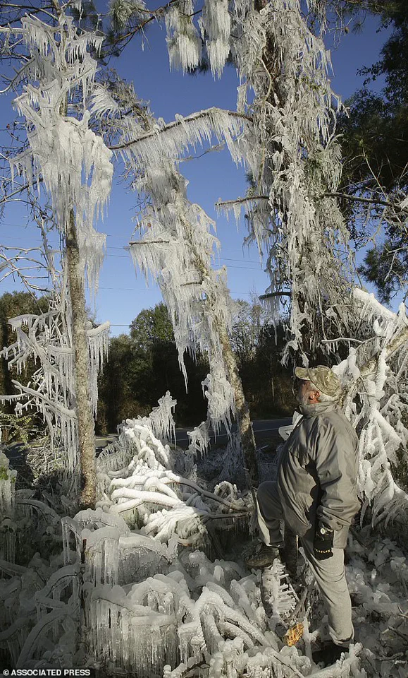 Historic Cold Snap Looms as Meteorologists Warn Miami Could See Decade-Long Freeze, Echoing 2010's Record-Breaking Chill
