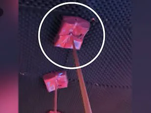 Aspiring Veterinarian Eleonora Palmieri Survives Nightclub Fire in Switzerland on New Year's Eve