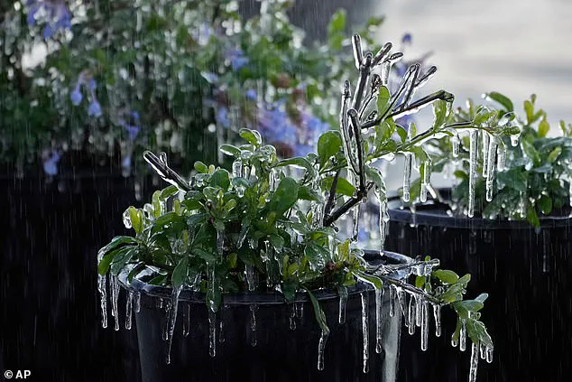 Bomb Cyclone Winter Storm Gianna Brings Unprecedented Cold to 35 Million Americans, as Meteorologists Warn of Severe Impact