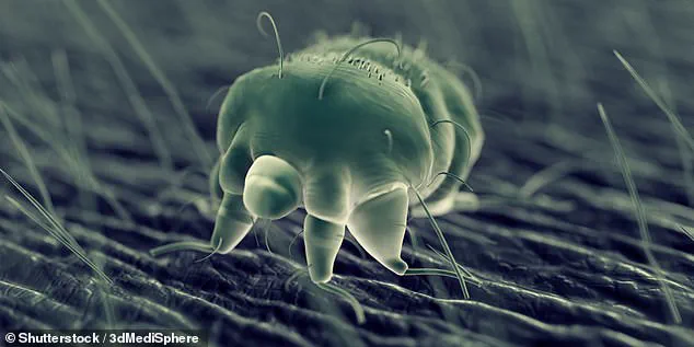 Elderly Woman's Misdiagnosed Condition Highlights Gaps in Medical Care