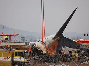 Pilot's Split-Second Decision Averts Disaster After Hawk Divebombing During Takeoff at Farnborough Airport