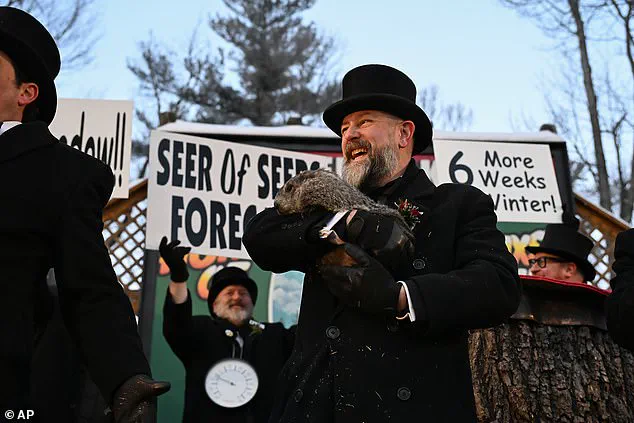 Punxsutawney Phil's Shadow Predicts Six Weeks of Winter in Subzero Pennsylvania Ceremony