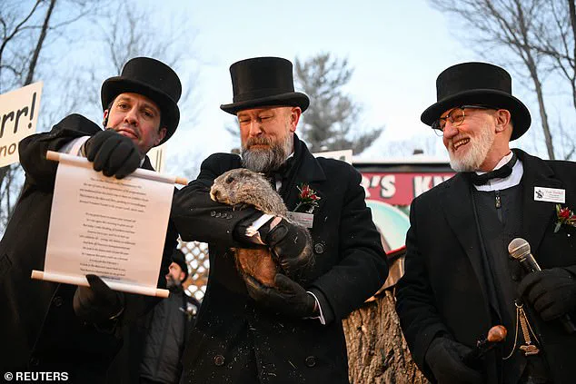 Punxsutawney Phil's Shadow Predicts Six Weeks of Winter in Subzero Pennsylvania Ceremony
