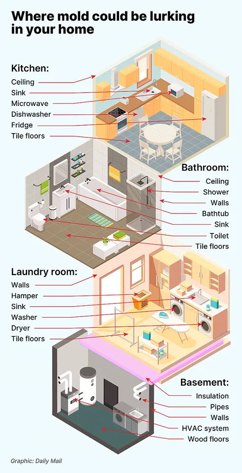 Dismissed by Doctors: The Hidden Struggle of Chronic Symptoms in America