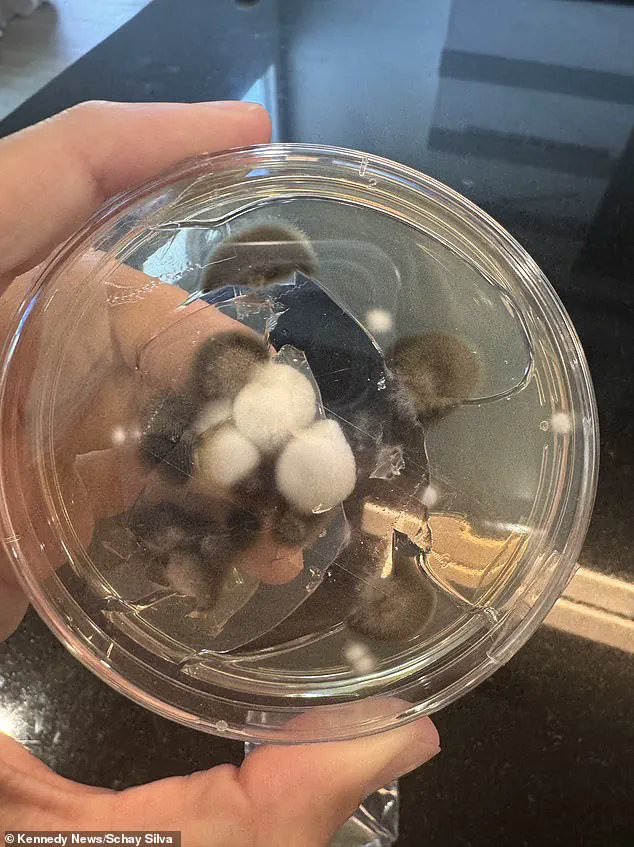 Dismissed by Doctors: The Hidden Struggle of Chronic Symptoms in America