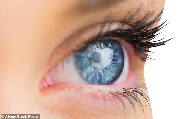 New Study Links Common Bacterium to Alzheimer's Progression, Opening Doors for Early Treatments