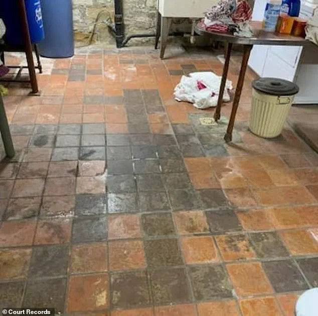 Pennsylvania Couple Files Lawsuit Over Nazi Symbols Embedded in Home Flooring