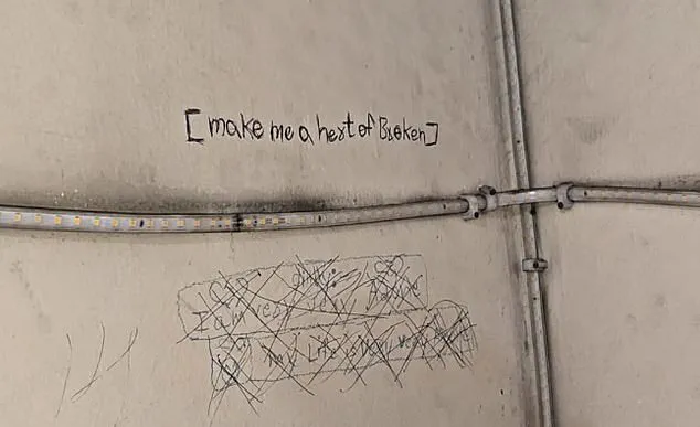 Three Sisters' Tragic Deaths in Ghaziabad After Father Confiscates Phones