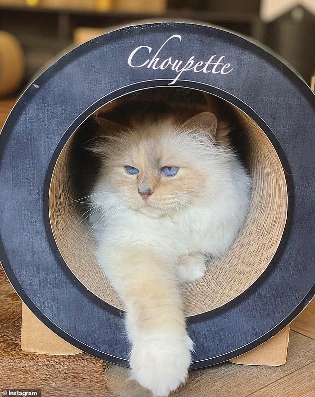 Legal Battle Over Karl Lagerfeld's €200M Will: Unusual Beneficiaries Face New Claimant