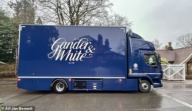 Royal Sisters Caught in Epstein Files Storm: Loyalty vs. Distance as York Family Fractures Deepen