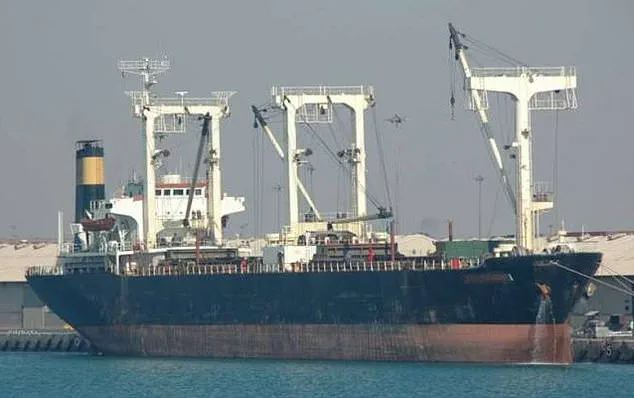 331 Days in Captivity: The Terrifying Ordeal of Pralav Dhyani and the Somali Pirate Hostage Crisis