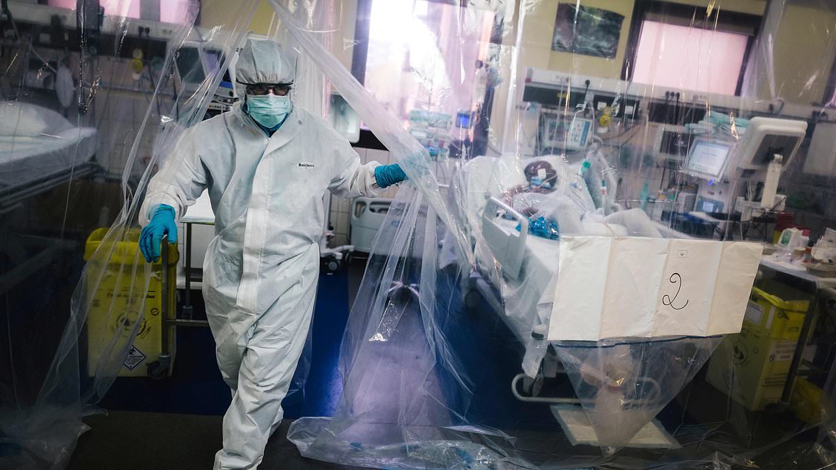 New Viruses Loom as Pandemic Threats: CDC Warns of Emerging Global Health Risks