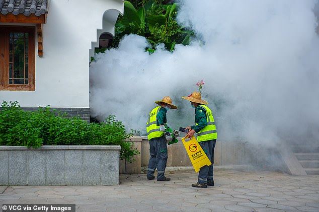 Chikungunya Resurgence Sparks Urgent CDC Travel Advisories as Cases Surge Globally