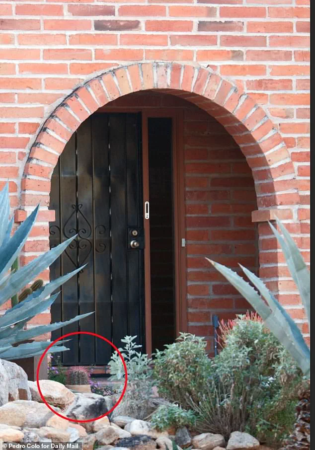 Feds and Public Join Nationwide Hunt for Nancy Guthrie After FBI Releases Surveillance Footage of Masked Suspect; Family Urges Clues as Abduction Tests Coordination