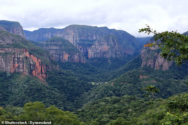 CDC Issues Urgent Warning as Chikungunya Resurgence Sparks Global Health Crisis