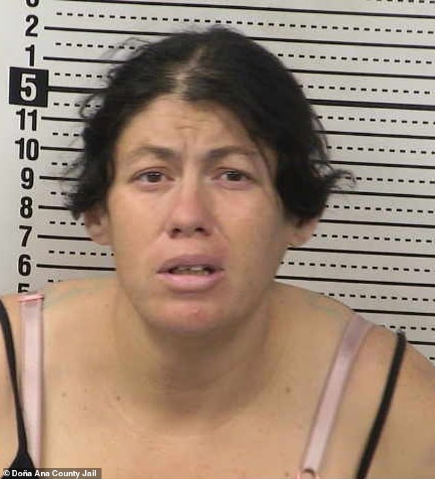 New Mexico Mother Charged with Felony Child Abuse After Newborn Allegedly Drowned in Chemical-Filled Portable Toilet