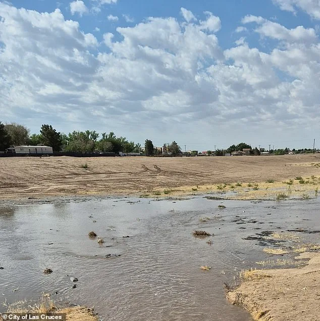 New Mexico Mother Charged with Felony Child Abuse After Newborn Allegedly Drowned in Chemical-Filled Portable Toilet