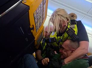 Drunk Passenger Causes Chaos, Forces Ryanair Flight to Reverse on Madrid-Ibiza Route