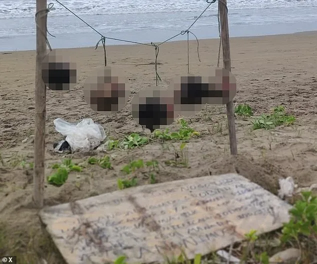 Severed Heads with 'No Stealing' Signs Signal Escalating Gang Conflict in Ecuador