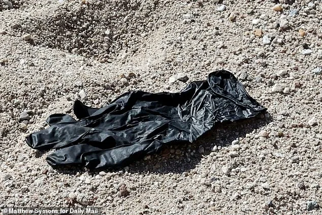 Setback in Nancy Guthrie Disappearance Investigation as Forensic Analysis Reveals Glove DNA Doesn't Match Database