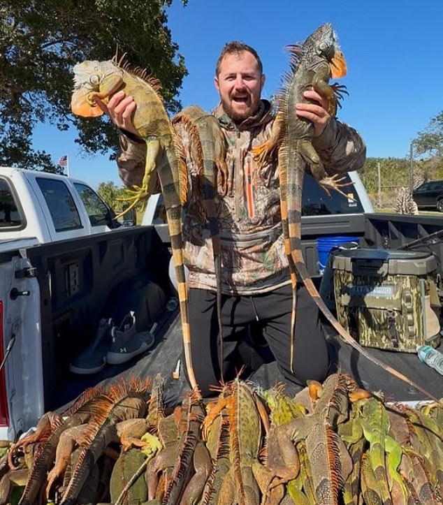 Fla. Pizza Shop's Iguana Pie Prank Sparks Debate Over Regulations and Ethics