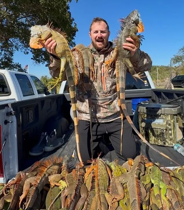 Fla. Pizza Shop's Iguana Pie Prank Sparks Debate Over Regulations and Ethics