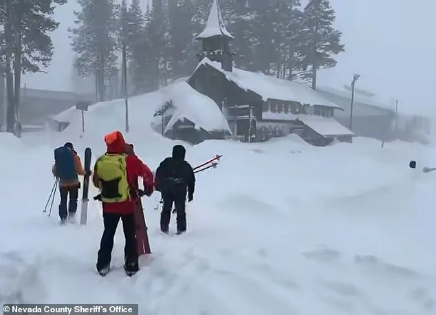 Sierra Nevada Avalanche Tragedy: Eight Dead, One Missing