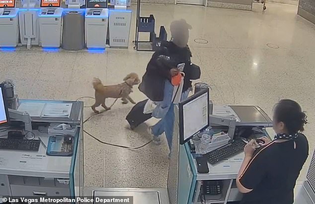 Woman Arrested for Abandoning Service Dog at Las Vegas Airport