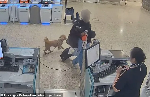 Woman Arrested for Abandoning Service Dog at Las Vegas Airport