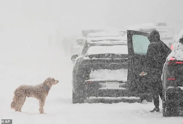 Massive Winter Storm Set to Disrupt Millions Across 27 States: East Coast Braces for Uncertain Weather as Blizzard Conditions or Rain Loom