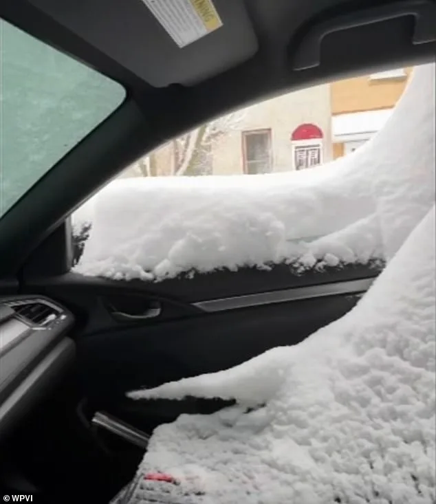 Honda's Midnight Window Glitch Freezes Driver's Car in Philly Blizzard