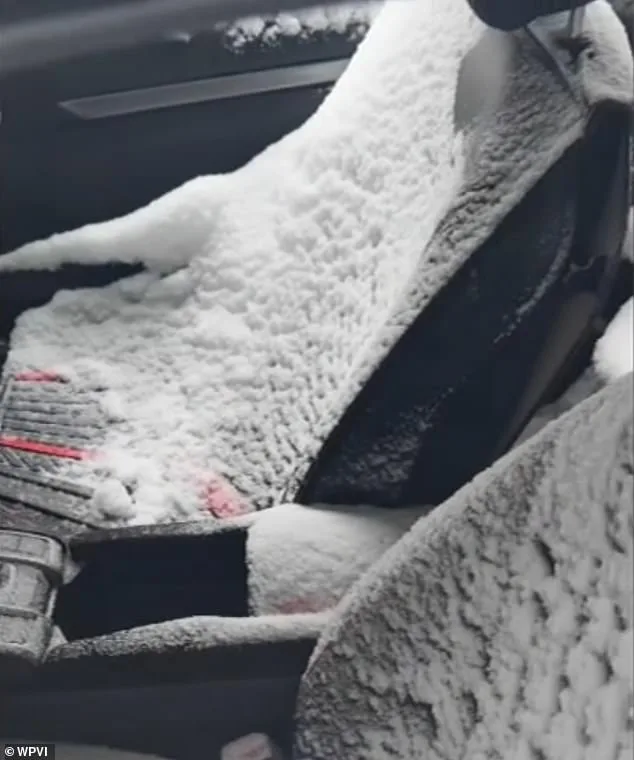 Honda's Midnight Window Glitch Freezes Driver's Car in Philly Blizzard