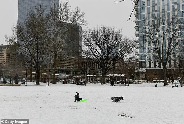 Honda's Midnight Window Glitch Freezes Driver's Car in Philly Blizzard