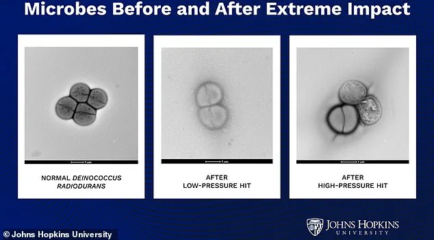 Asteroid Impacts Could Enable Microbes to Journey Between Planets, Study Finds