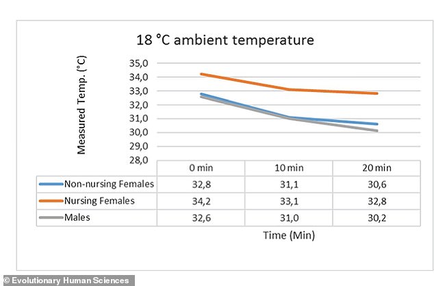 Study Reveals Evolutionary Adaptation: Human Breast Size May Have Evolved to Provide Thermal Protection for Newborns