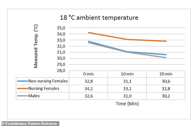 Study Reveals Evolutionary Adaptation: Human Breast Size May Have Evolved to Provide Thermal Protection for Newborns