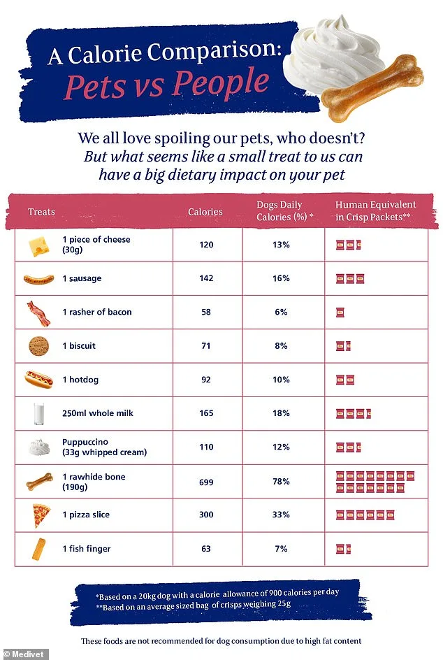 Veterinarians Warn: Viral Treat Trends Pose Obesity Risk for Dogs