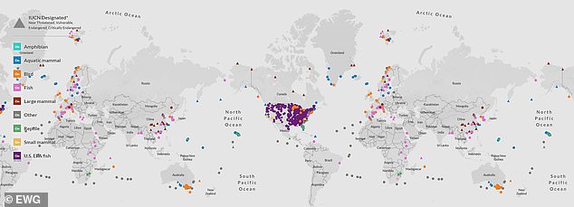 Toxic 'Forever' Chemicals Linked to Cancer Found in Popular Wet Pet Foods, Study Reveals