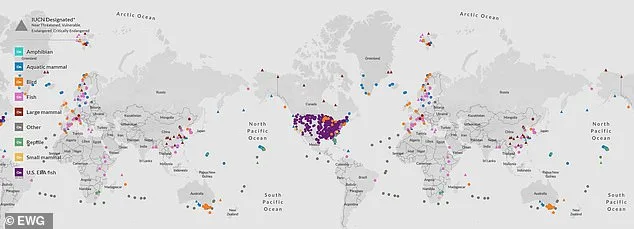 Toxic 'Forever' Chemicals Linked to Cancer Found in Popular Wet Pet Foods, Study Reveals