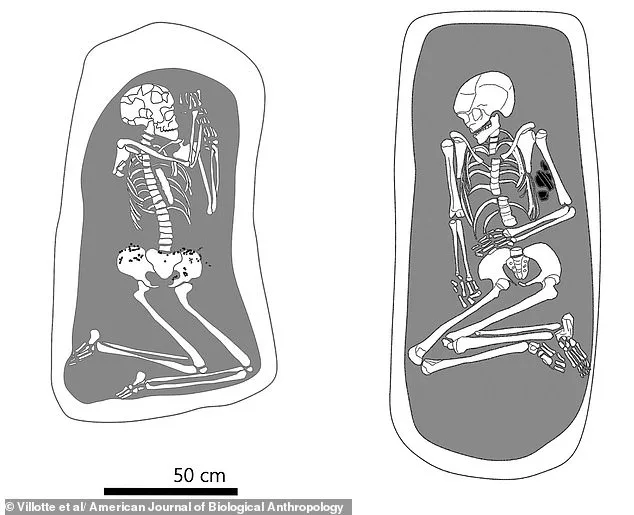 7,000-Year-Old Hungarian Skeleton Challenges Assumptions About Ancient Gender Roles