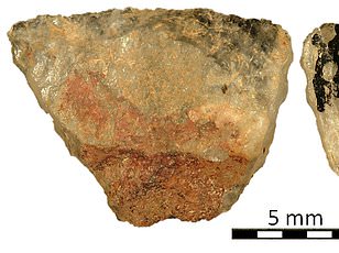 7,000-Year-Old Hungarian Skeleton Challenges Assumptions About Ancient Gender Roles