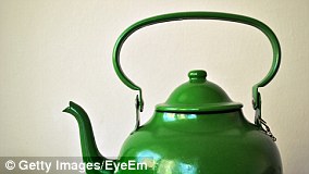 UK Gardeners Urged to Tolerate Caterpillar Damage to Help Save Declining Moth Populations