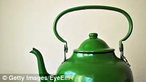 UK Gardeners Urged to Tolerate Caterpillar Damage to Help Save Declining Moth Populations