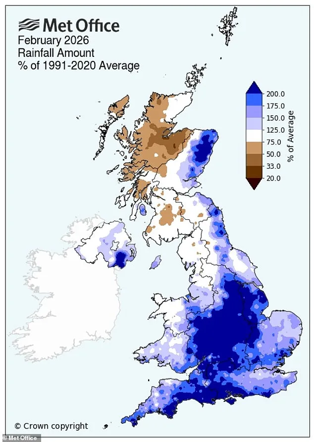 Britain faces 'Slugageddon' as record wet February fuels slug invasion in gardens